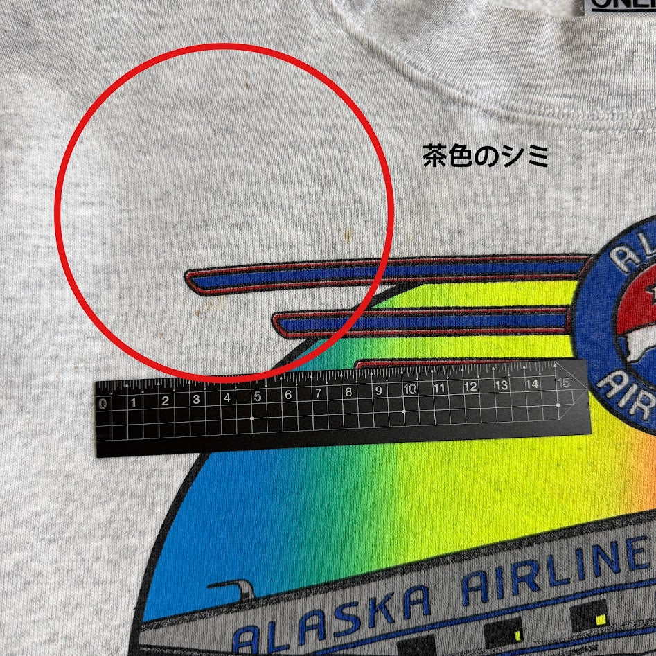 Alaska Airlines（アラスカ航空） × ONEITA POWER-SWEATS USA製 スウェット M