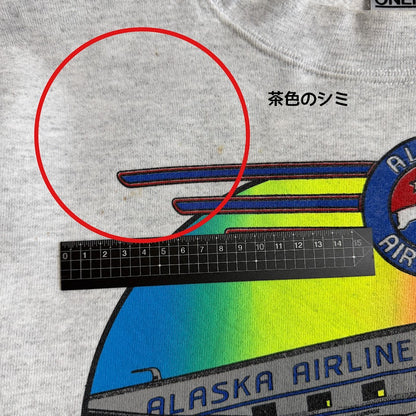 Alaska Airlines（アラスカ航空） × ONEITA POWER-SWEATS USA製 スウェット M