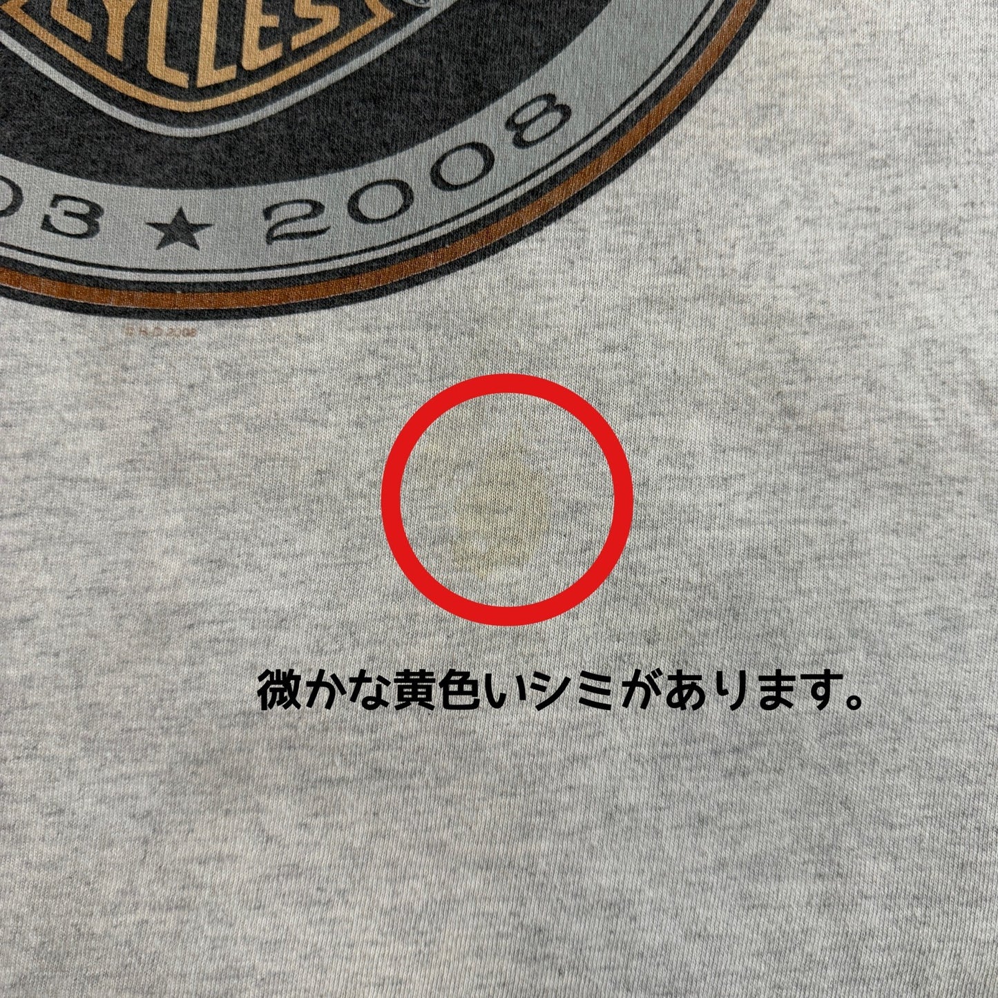 Harley-Davidson 105th Anniversary 2008 両面プリント Tシャツ BRASADOボディ