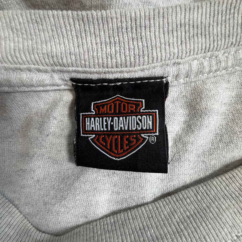 Harley-Davidson 105th Anniversary 2008 両面プリント Tシャツ BRASADOボディ